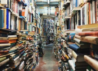 Social Networks Could Be Banned in Campus Networks