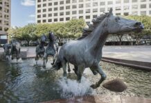 New App Ensures Students Get Home Safe